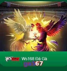 ga567